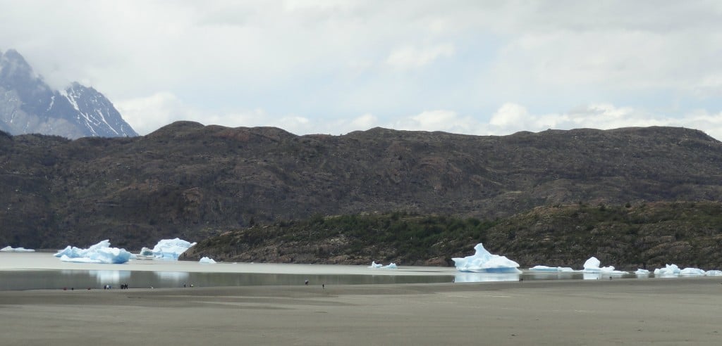 Icebergs at Lago Grey Beach