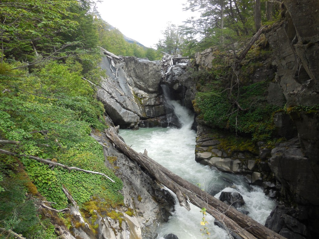 DSCN0979