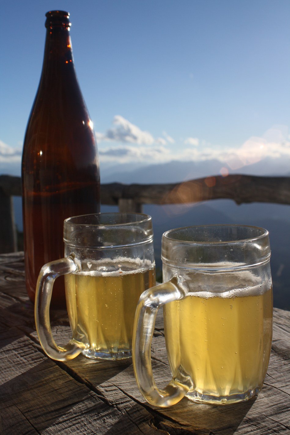 bariloche beer