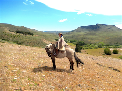 helfer horse