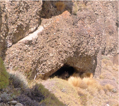 P1020132