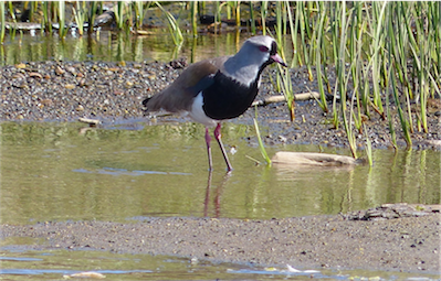 P01800_Patagonia_2014_Sue_01 233
