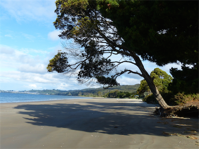 P01870_Patagonia_2014_Sue_01 240