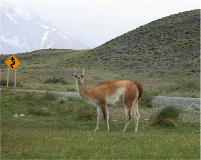 P05630_IMG_9898