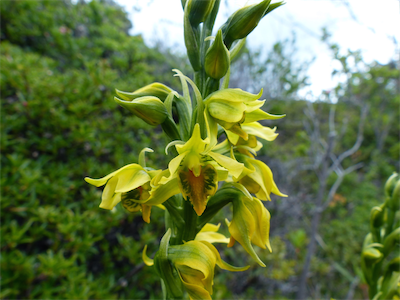 P07550_Patagonia_2014_Sue_01 1303