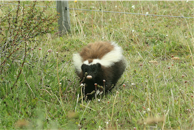 P07700_Patagonia_2014_Ian_EOS400D_02 078