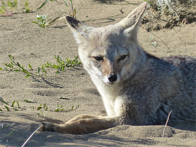 P08072_Patagonia_2014_Sue_01 1366