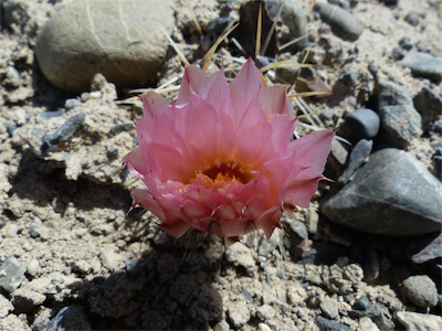 P09440_Patagonia_2014_Sue_01 1756