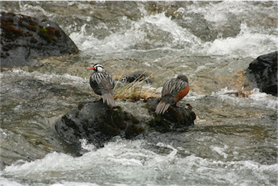 P10990_Patagonia_2014_Ian_EOS400D_02 877