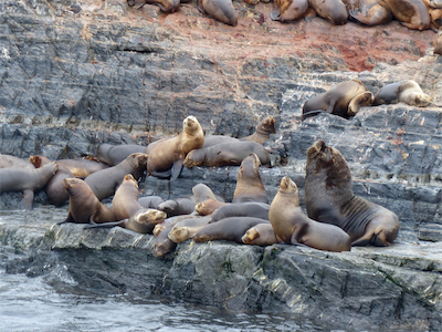 P12820_Patagonia_2014_Sue_02 378