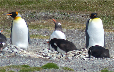 P13260_Patagonia_2014_Sue_02 478