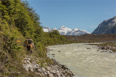 Paddy Scott-Patagonia 15-62-5G3A5355