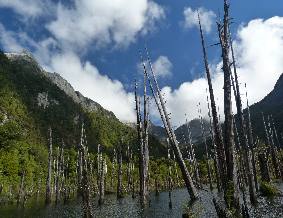 Refugio Alerces2