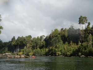 DSCN4771