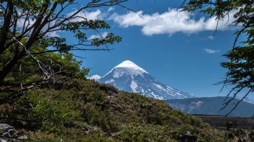 View through trees to the snow-capped conical peak of Lanin Volcano in Lanin National Park, Argentina