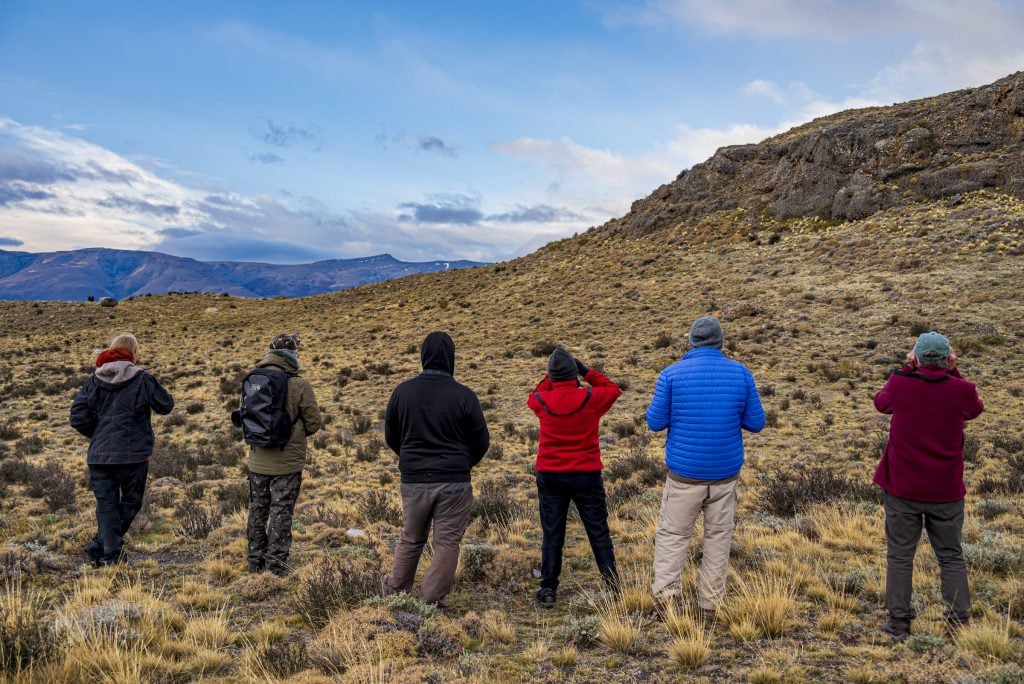 Five tourists and their guide scan the horizon for pumas in Torres del Paine National Park.