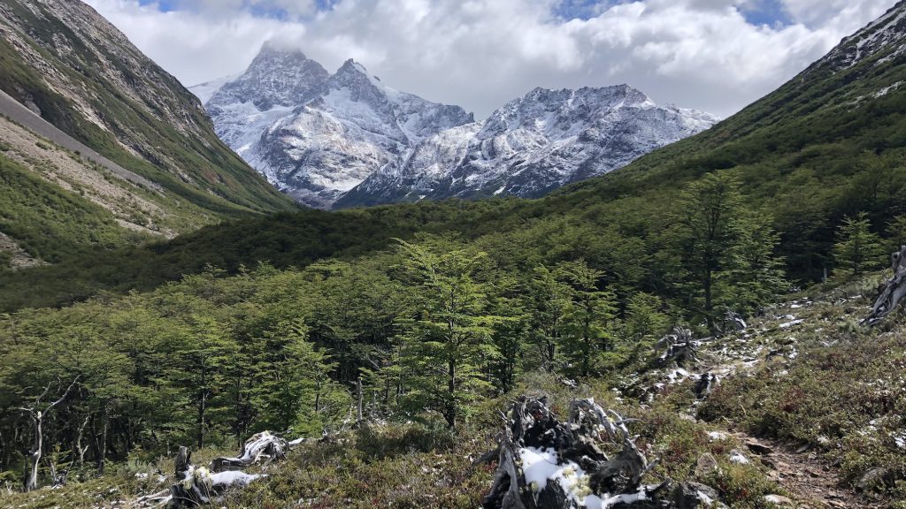 Trail view through the forests of Aysen's Jeinemeni National Park