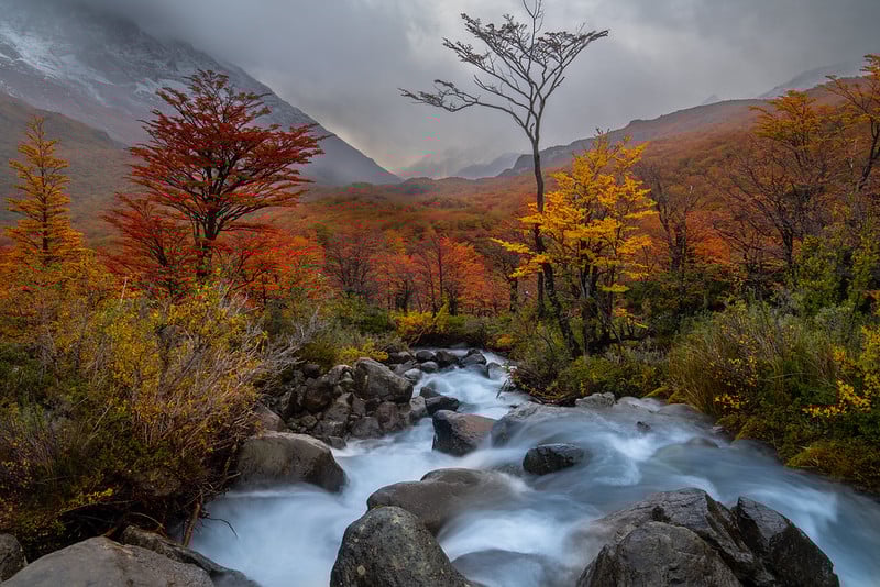 Autumn colours in Los Glaciares