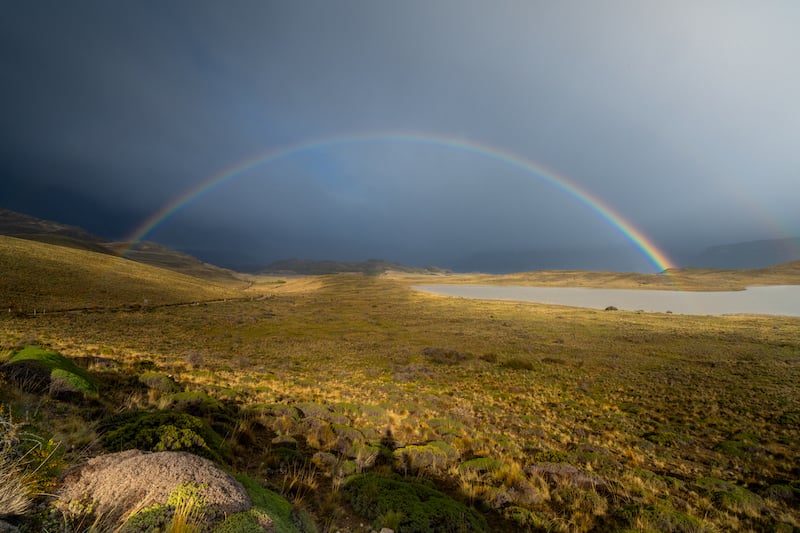 Spring rainbow - October 2023 in Patagonia Park