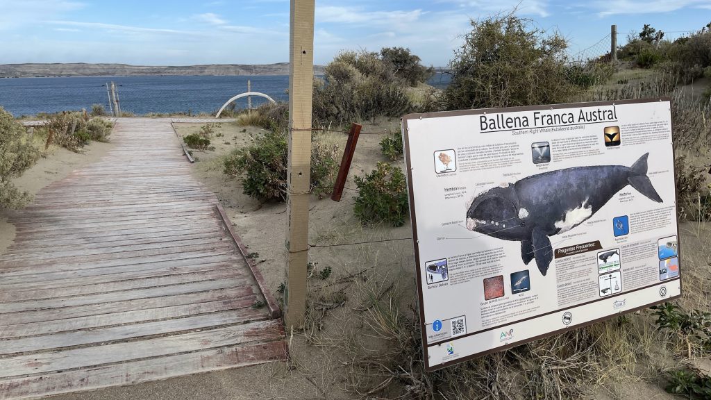 Southern right whale sign at Peninsula Valdes
