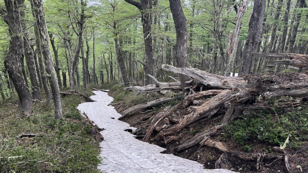 Cerro Mallo Hike near San Martín