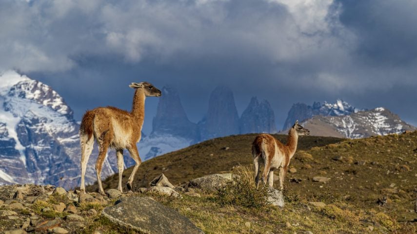 Discover more about Torres del Paine National Park