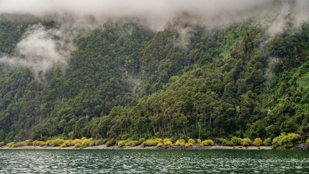 Lake Tagua Tagua