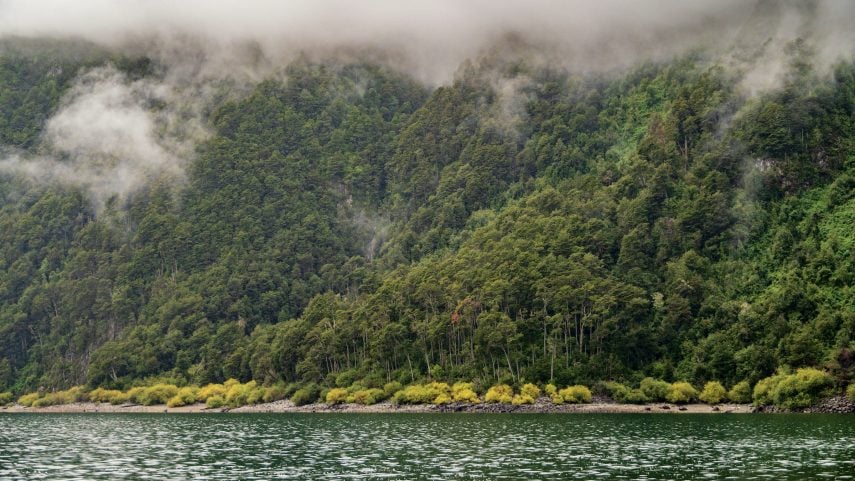 Lake Tagua Tagua